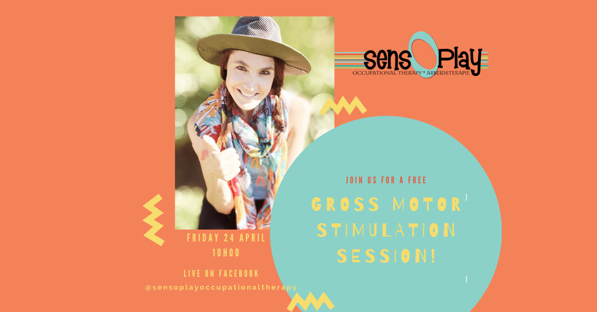Gross Motor Stimulation Session