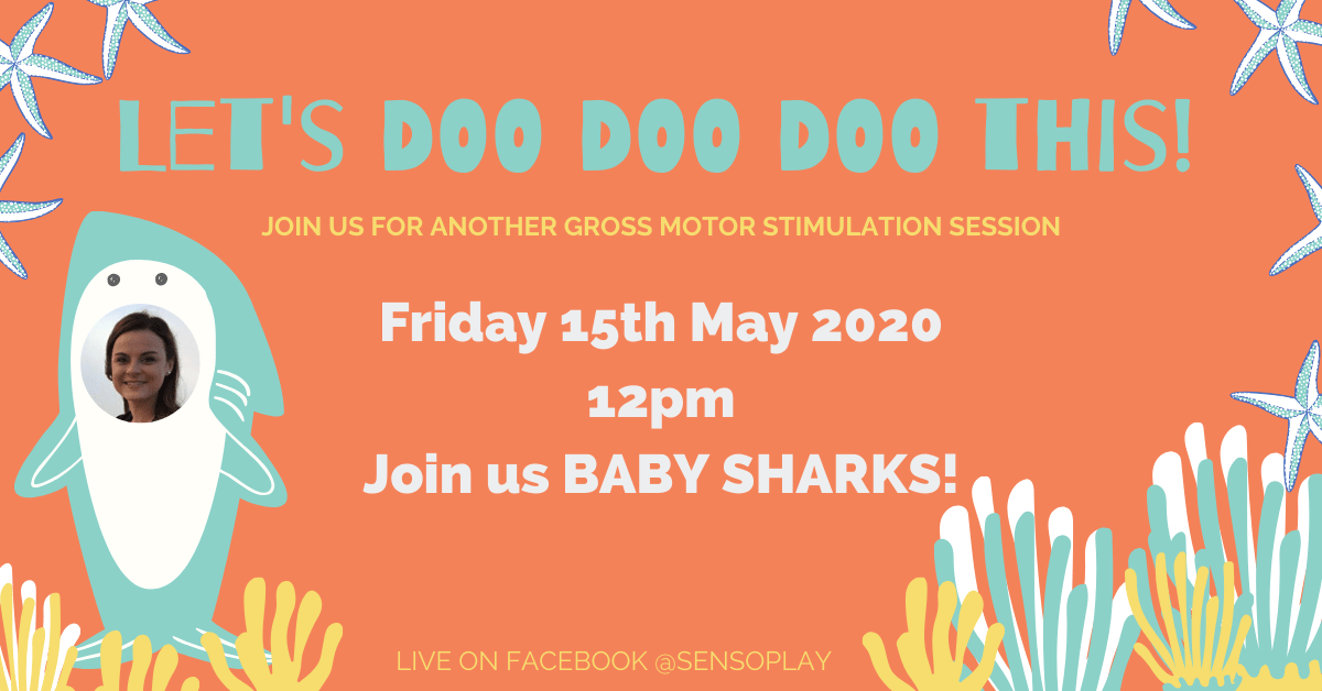 Gross Motor Stimulation Session